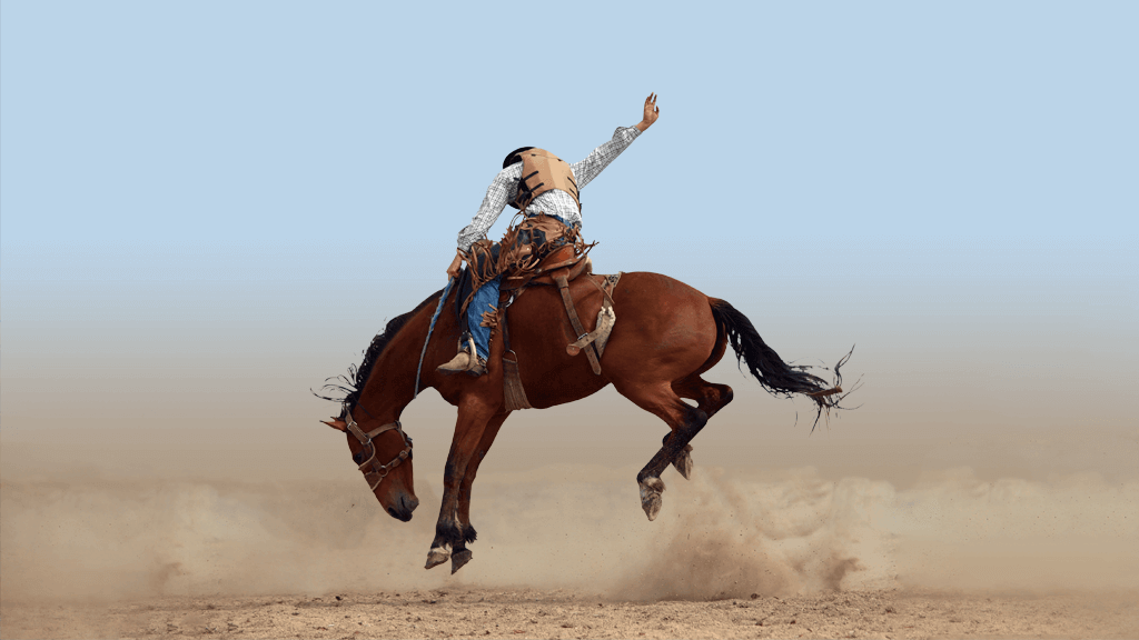 Man on bucking bronco during an extended workforce Rodeo event 